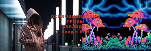 2c-b Абаза