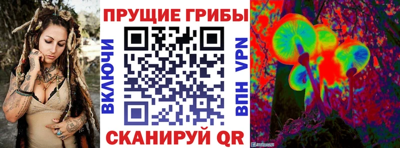 Псилоцибиновые грибы GOLDEN TEACHER Сорск